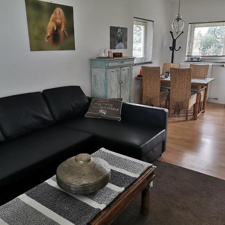Bed And Breakfast Baarle Экстерьер фото
